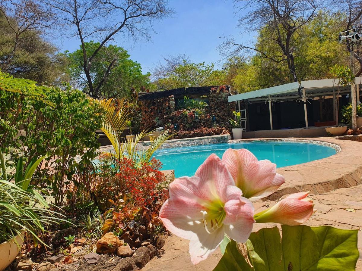 Victoria Falls Backpackers Lodge Luaran gambar