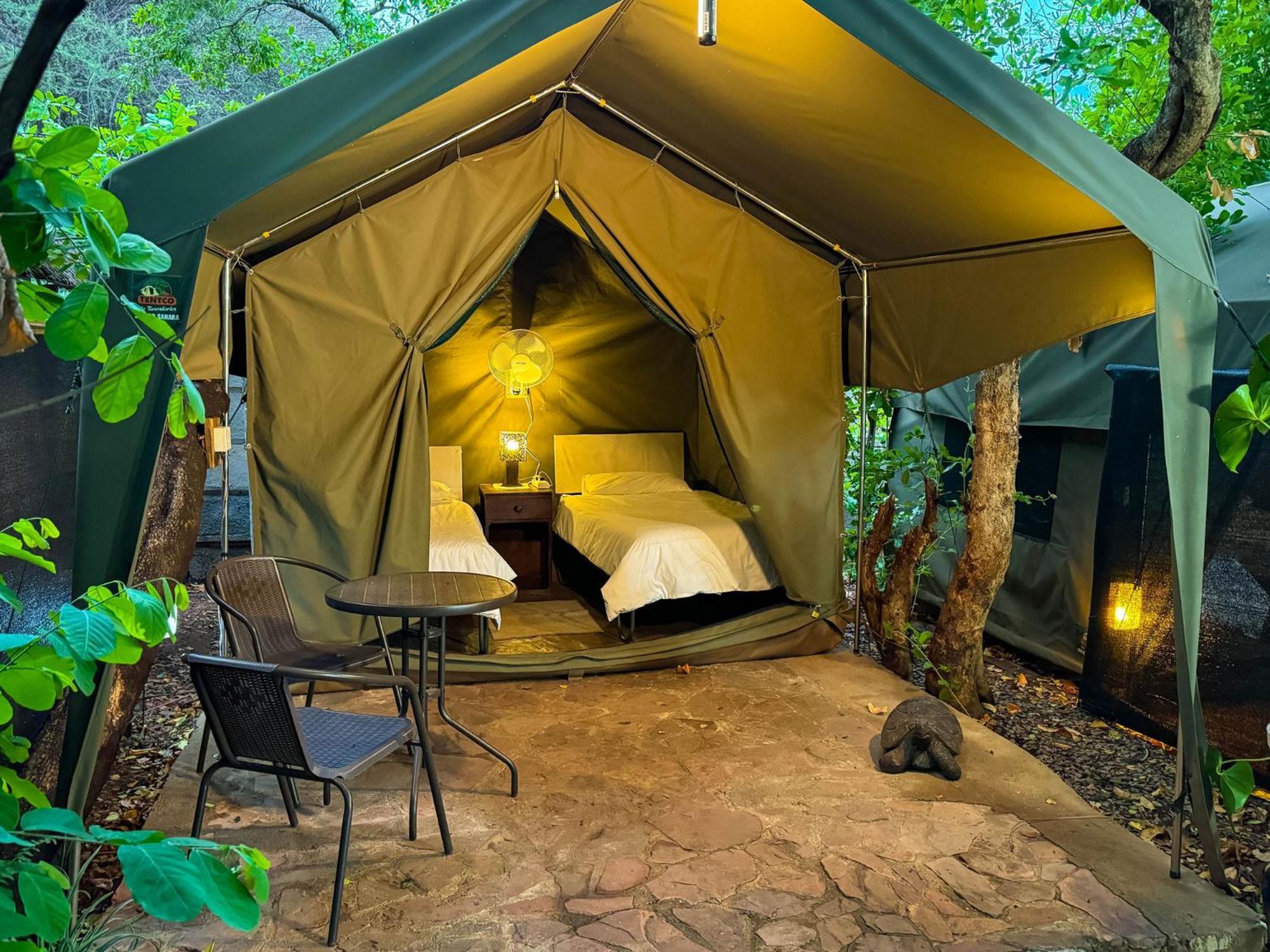 Victoria Falls Backpackers Lodge Luaran gambar